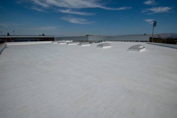 Best Roof Waterproofing  in Byron, GA